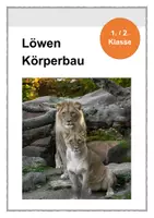 Vorschau - Arbeitsblätter - Löwen - Körperbau (1. und 2. Klasse) - Deckblatt