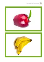 Vista previa - Tarjetas / Manipulativos - Fichas frutas - Portada