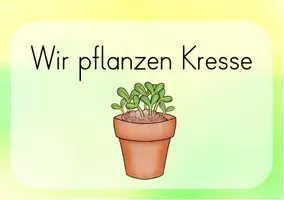 Vorschau - Experimente - Anleitung zum Anpflanzen bzw. Ansäen von Pflanzen/ Kresse - Seite 1