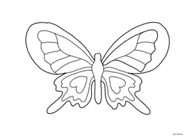 Vorschau - Mal- und Bastelvorlagen - Muttertag / Vatertag - Brief-Schmetterling - Seite 2