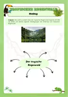 Vorschau - Arbeitsblätter - Tropischer Regenwald - Mindmap - Seite 1