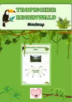 Vorschau - Arbeitsblätter - Tropischer Regenwald - Mindmap - Deckblatt