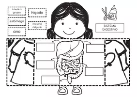 Vista previa - Manualidades / Dibujos para colorear - SISTEMA DIGESTIVO - RESPIRATORIO - Portada