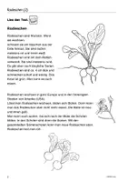 Vorschau - Arbeitsblätter - Radieschen, gärtnern in Topf und Beet - Seite 2