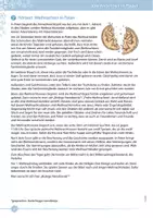 Vorschau - Arbeitsblätter - Weihnachten in Polen - Seite 3