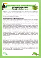 Vorschau - Arbeitsblätter - Tropischer Regenwald - Der Weg der Banane von der Plantage in den Supermarkt - Seite 1
