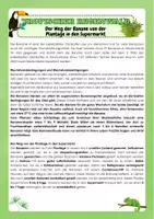 Vorschau - Arbeitsblätter - Tropischer Regenwald - Der Weg der Banane von der Plantage in den Supermarkt - Seite 3