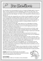 Vorschau - Arbeitsblätter - 🦎 Tierbeschreibung: Das Chamäleon (mit Sachtext, Steckbrief, Checkliste, Ausmalbildern & Tierbeschreibung zum Weiterschreiben) + Lösungen - Seite 1