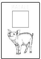 anteprima - Esercizi - ANIMALI DELLA FATTORIA - Pagina 3