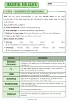 Vorschau - Arbeitsblätter - INSEKTEN: Der Käfer – Komplettpaket für SEK1 - Seite 1