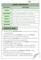 Vorschau - Arbeitsblätter - INSEKTEN: Der Käfer – Komplettpaket für SEK1 - Seite 3