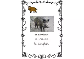 Aperçu - Affichage - QLM VOCABULAIRE LES ANIMAUX PARTIE 1 - Page 2