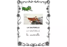 Aperçu - Apprentissages en autonomie - QLM VOCABULAIRE LES ANIMAUX PARTIE 2 - Page 2