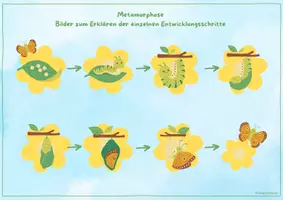 Vorschau - Stundenentwürfe - 🦋🐛Schmetterling Raupe Metamorphose Brettspiel Frühling - Seite 3