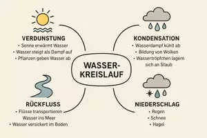 Vorschau - Arbeitsblätter - Arbeitsblatt "Wasserkreislauf" + Onlineübung & MP3 + Mindmap + Infografik - Seite 3
