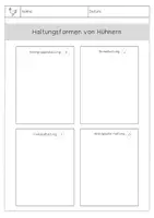 Vorschau - Arbeitsblätter - Hühner: Haltungsformen Gruppenpuzzle - Seite 1