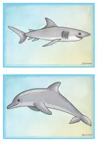 Vorschau - Arbeitsblätter - Materialpaket: Under the Sea - Seite 3