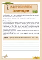 Vorschau - Arbeitsblätter - Savannen - Savannentypen - Seite 2