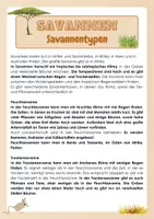 Vorschau - Arbeitsblätter - Savannen - Savannentypen - Seite 3