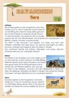 Vorschau - Arbeitsblätter - Savannen - Tiere - Seite 1