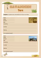 Vorschau - Arbeitsblätter - Savannen - Tiere - Seite 3