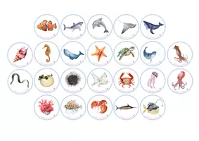 Vista previa - Juegos / Gamificación - ANIMALES MARINOS - VOCABULARIO: Ruleta y bingo. - página 3