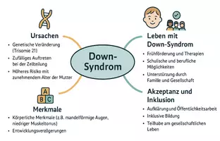 Vorschau - Arbeitsblätter - Arbeitsblätter zum Thema "Down-Syndrom" + Lösung & MP3 + Mindmap + Infografik - Seite 2