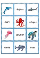 Vorschau - Spiele - Find the Cards Sea Animals - Seite 1