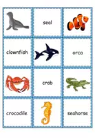 Vorschau - Spiele - Find the Cards Sea Animals - Seite 2