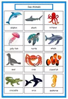 Vorschau - Spiele - Materialpaket - Animals: Flashcards, Readings and Listenings, Dictionary - Seite 2