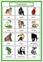 Vorschau - Arbeitsblätter - Dictionary Jungle Animals - Seite 2