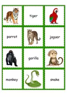 Vorschau - Spiele - Find the Cards Jungle Animals - Seite 1