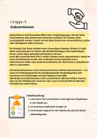 Vorschau - Arbeitsblätter - Instrumente des Staates im Wirtschaftsgeschehen: Steuern, Zölle, Subventionen - Seite 3