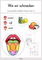Vorschau - Stundenentwürfe - Wie wir schmecken - unsere Zunge I Sachunterricht Kl. 1 & 2 - Deckblatt