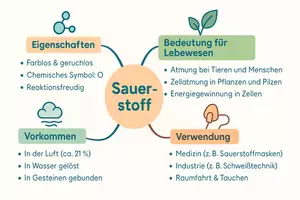 Vorschau - Arbeitsblätter - Arbeitsblätter zum Thema "Sauerstoff" + Lösung & MP3 + Mindmap + Infografik - Seite 2