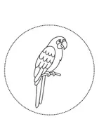 Vorschau - Mal- und Bastelvorlagen - runde Prickelbilder / Fensterbilder Thema Papageien - Grundschule - Bastelvorlagen - Seite 2
