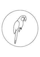 Vorschau - Mal- und Bastelvorlagen - runde Prickelbilder / Fensterbilder Thema Papageien - Grundschule - Bastelvorlagen - Seite 3