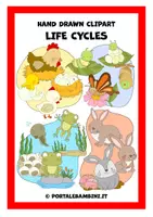 Vorschau - selbst erstellte Cliparts/Grafiken - Life Cycles - Hand Drawn Clipart - Deckblatt