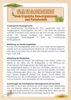 Vorschau - Arbeitsblätter - Savannen - Innertropische Konvergenzzone und Passatwinde - Seite 1