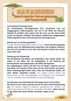 Vorschau - Arbeitsblätter - Savannen - Innertropische Konvergenzzone und Passatwinde - Seite 3