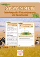 Vorschau - Arbeitsblätter - Savannen - Innertropische Konvergenzzone und Passatwinde - Deckblatt