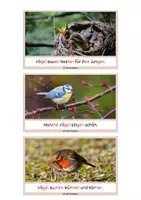 Vorschau - Text - Schlaumeier-Heftchen: Vögel (Lesen auf Satzebene, Silbenschrift) - Seite 2