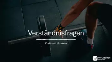 Vorschau - Aufgabenkarten - Sport-LK: Theorie Krafttraining: Transferfragen zu Kraft/ Muskeln - Seite 1