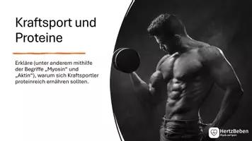 Vorschau - Aufgabenkarten - Sport-LK: Theorie Krafttraining: Transferfragen zu Kraft/ Muskeln - Seite 3