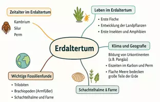 Vorschau - Arbeitsblätter - Arbeitsblätter zum Thema "Erdaltertum" + Lösung & MP3 + Mindmap + Infografiken - Seite 3