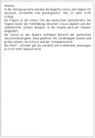Vorschau - Arbeitsblätter - Sexualerziehung - Anfangsunterricht - Äußere Geschlechtsorgane / Geschlechtsteile - Begriffe Penis, Vulva, Vagina - Seite 2