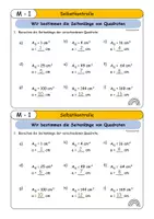 Vorschau - Arbeitsblätter - Seitenlänge von Quadrat und Rechteck bestimmen (Flächeninhalt berechnen) - Seite 2