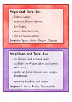 Vorschau - Arbeitsblätter - Tiergruppen von Haustieren - Schilder und Arbeitsblätter - Seite 3