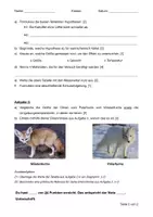 Vorschau - Arbeitsblätter - LK Oberflächenvergrößerung (inkl. Lösungen) - Seite 1