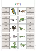 Vorschau - Stationenlernen - Pets: Clip Cards / Klammerkarten (Englisch) - Seite 3